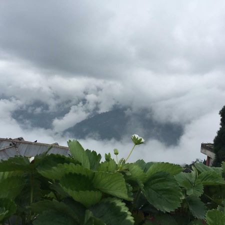 Benus Apartment Darjeeling  Bagian luar foto